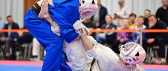 Кубок России по кудо