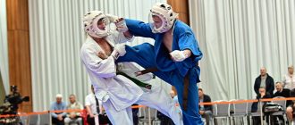 Кубок России по кудо