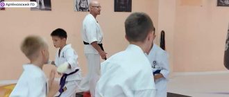 Школа кудо в Заводском