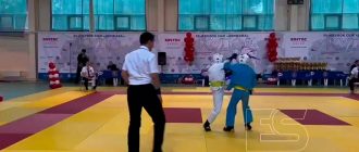 Юбилейный турнир по кудо в Боровске